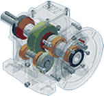 �����-�������� SiTi MNHL